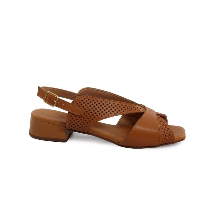 CORA1340-CARVALHO--2-
