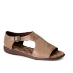 AGL1106-RATO--1-