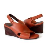 ANI1162-FERRUGEM--3-