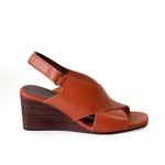 ANI1162-FERRUGEM--4-