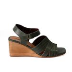 ANI1163-MENTA--4-