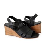 ANI1163-PRETO--3-