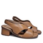 BTY1336-CARVALHO--2-