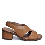 BTY1336-CARVALHO--3-
