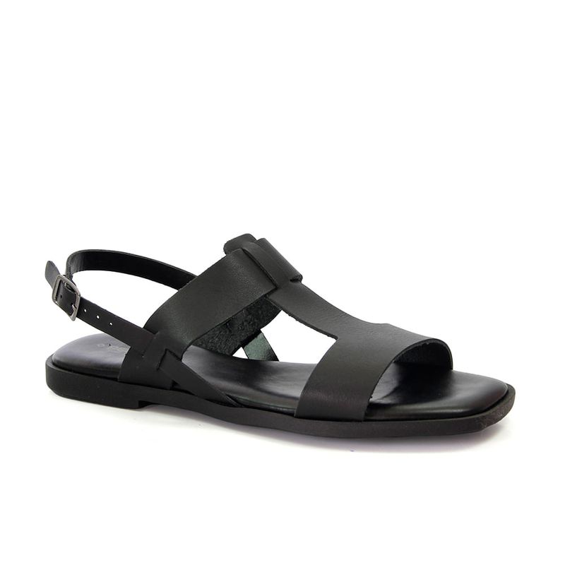 ANL1171-PRETO--1-