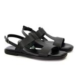 ANL1171-PRETO--2-