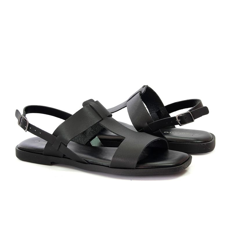 ANL1171-PRETO--3-