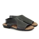 AGL1118-PRTETO--2-