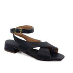 CORA1339-MARINHO--1-