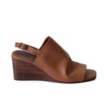 ANI977-CAMEL--4-
