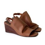ANI977-CAMEL--2-